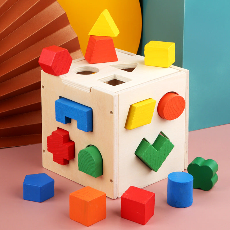 Round Peg, Round Hole....Remember the Early Education Building Blocks we had as kids? Here it is for the next generation.  Basics work!